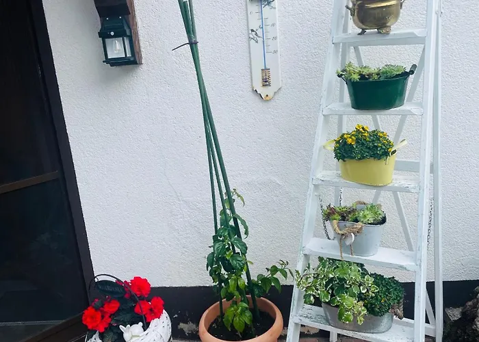 Holla Waldfee Apartament Konigerode